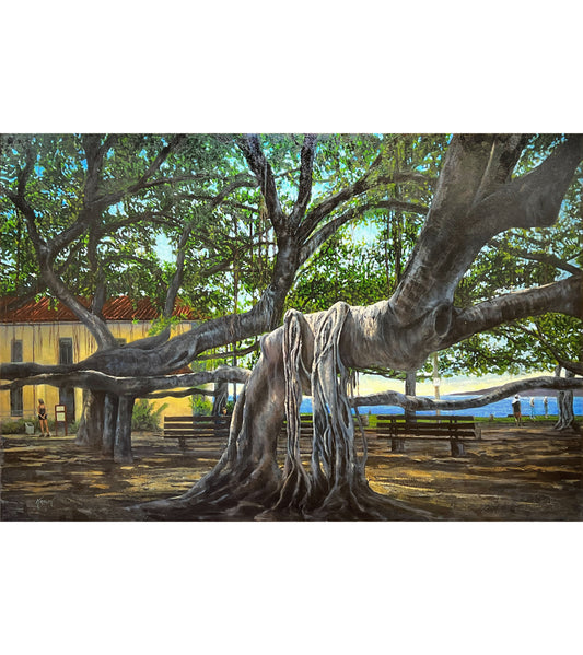 Lahaina Banyan de Brandon Kralik