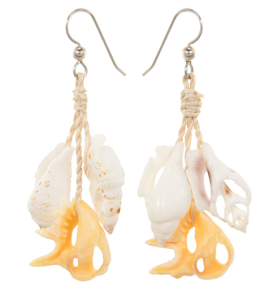 Sliced Shell Earrings