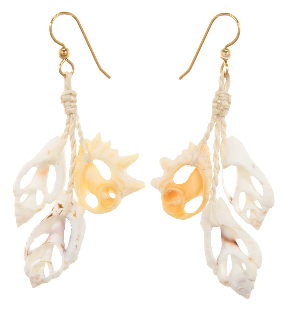 Sliced Shell Earrings
