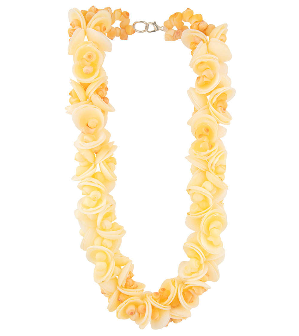Clam Shell and Pupu Necklace - 44531C