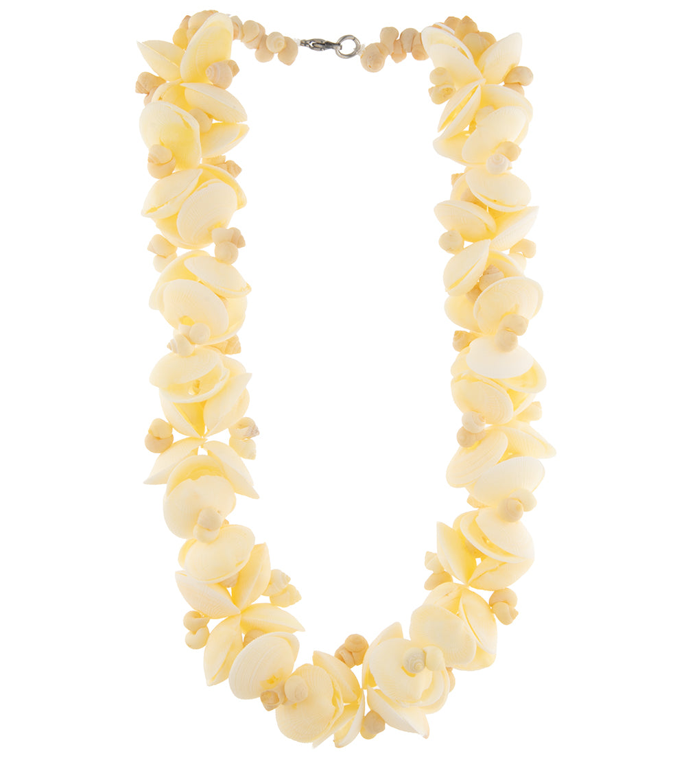 Clam Shell and Pupu Necklace - 44531C