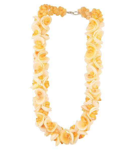 Clam Shell and Pupu Necklace - 44531C