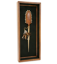 ハワイの武器「コアアカエイとマーリンビルサメの歯」