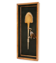 ハワイの武器「コアアカエイとマーリンビルサメの歯」