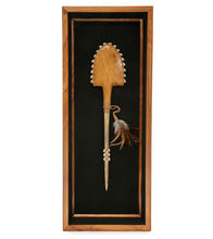 ハワイの武器「コアアカエイとマーリンビルサメの歯」