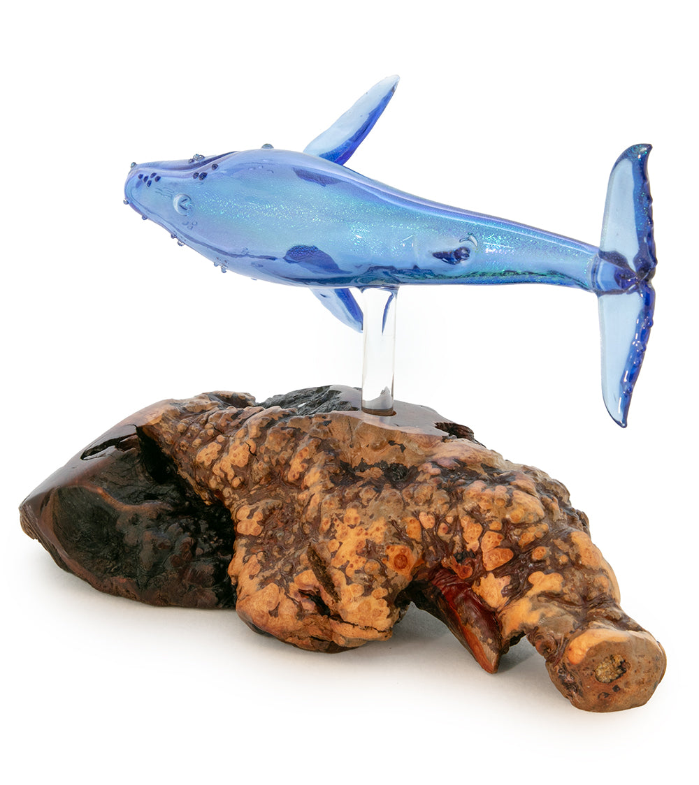 Escultura de vidrio y madera "Natación azul" de Luke Olsen