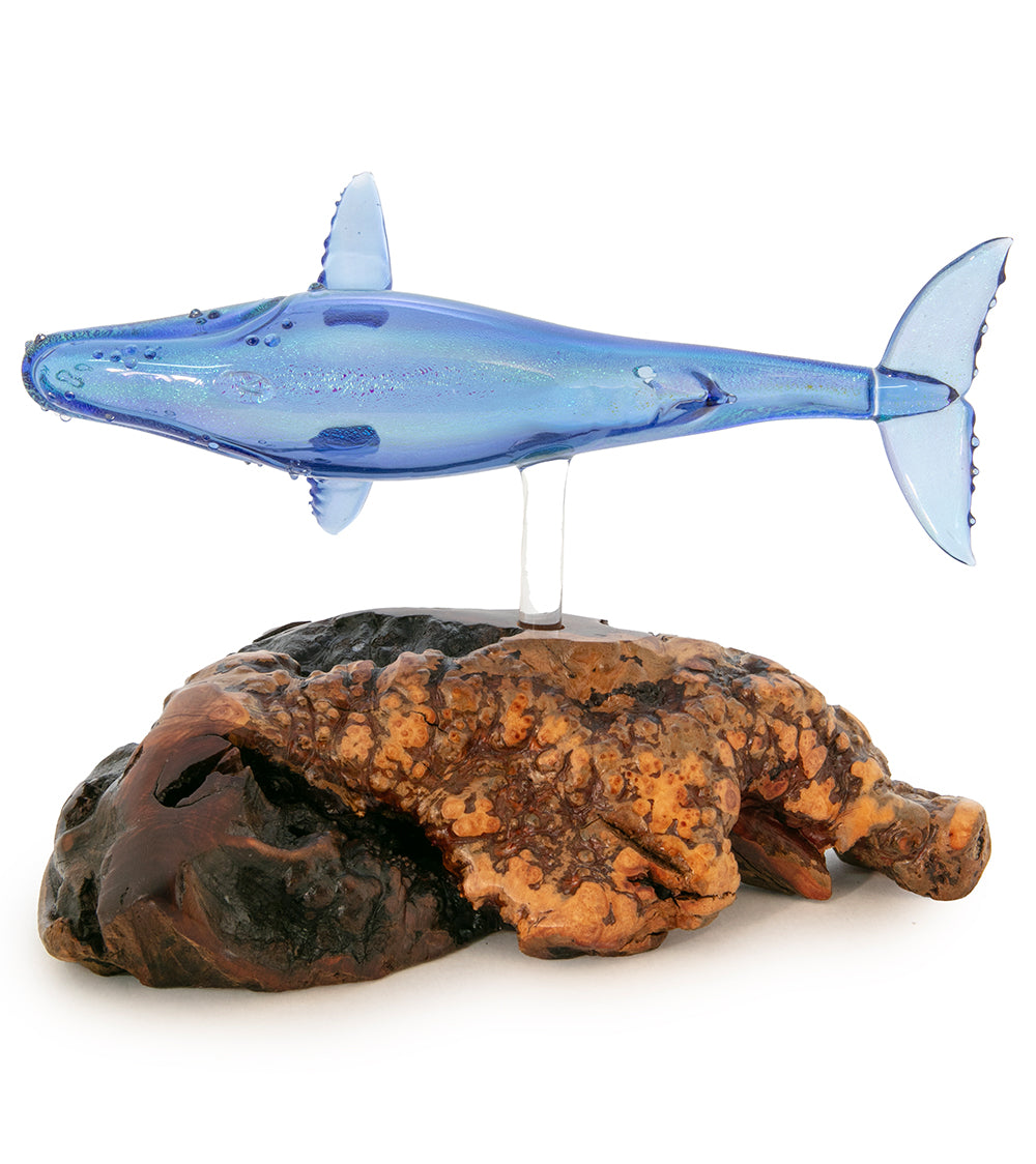 Escultura de vidrio y madera "Natación azul" de Luke Olsen