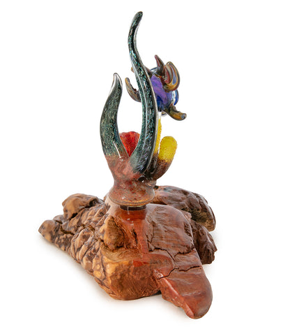 Escultura de vidrio y madera "Coral con tortuga" de Luke Olsen