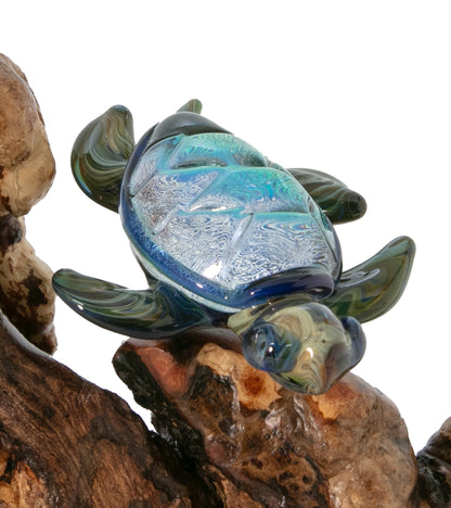 Glass and Wood Sculpture "Coral with Two Turtles" by Luke Olsen