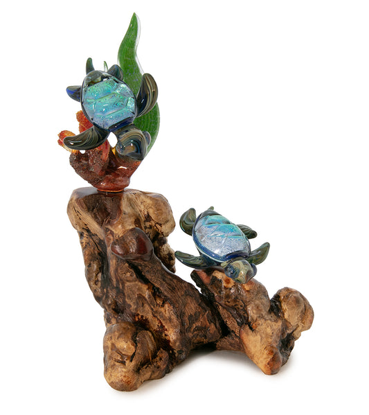 Glass and Wood Sculpture "Coral with Two Turtles" by Luke Olsen