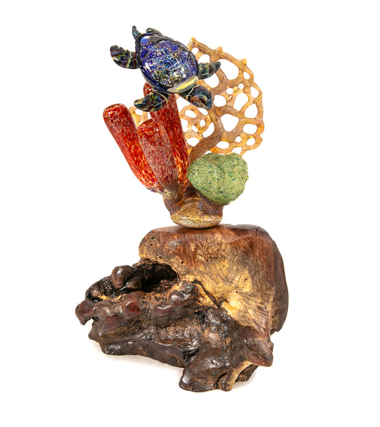 Escultura de vidrio "Dos tiburones martillo y coral" de Luke Olsen