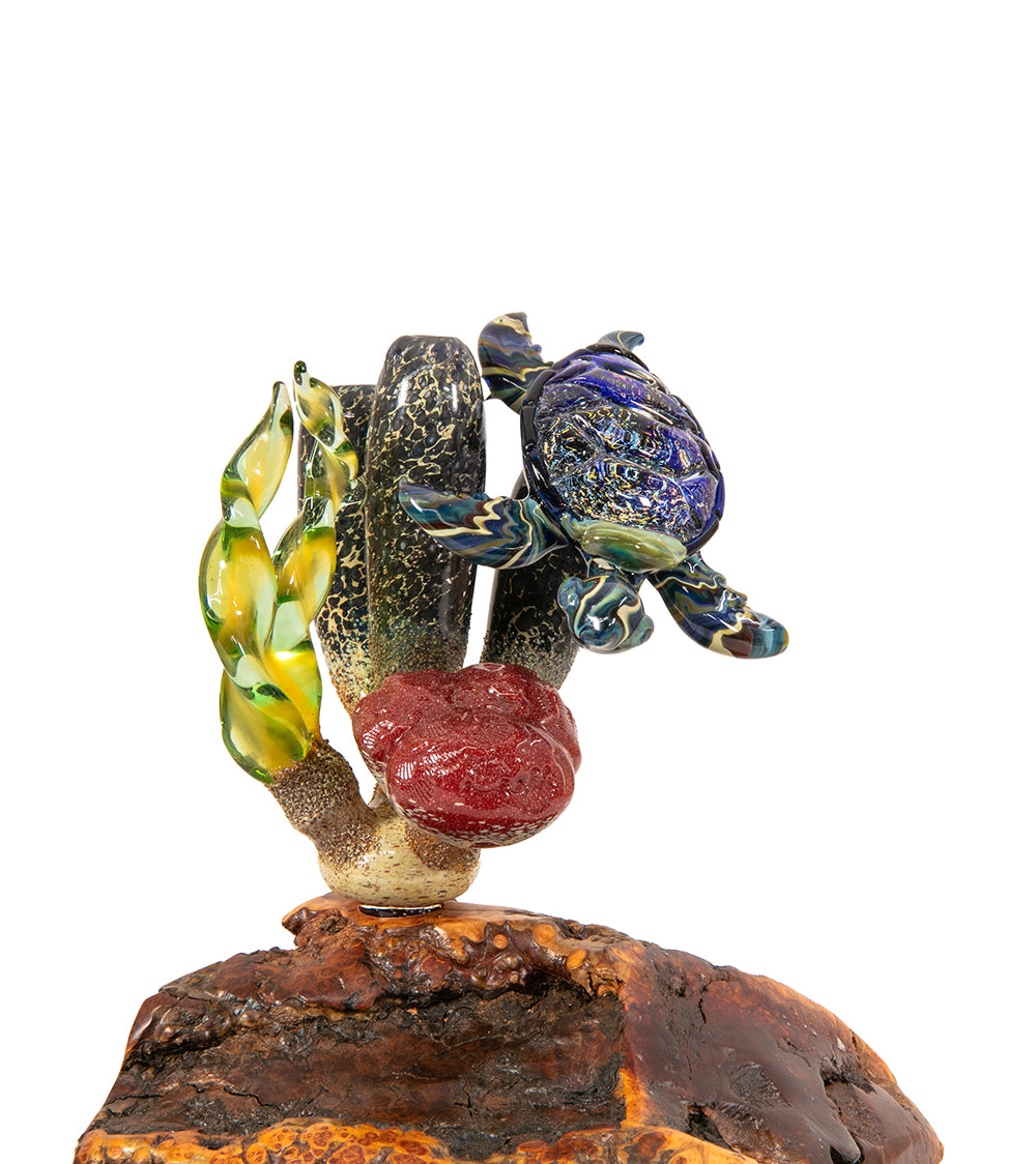 Escultura de vidrio "Dos tiburones martillo y coral" de Luke Olsen