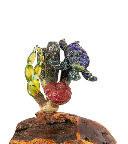 Escultura de vidrio "Dos tiburones martillo y coral" de Luke Olsen