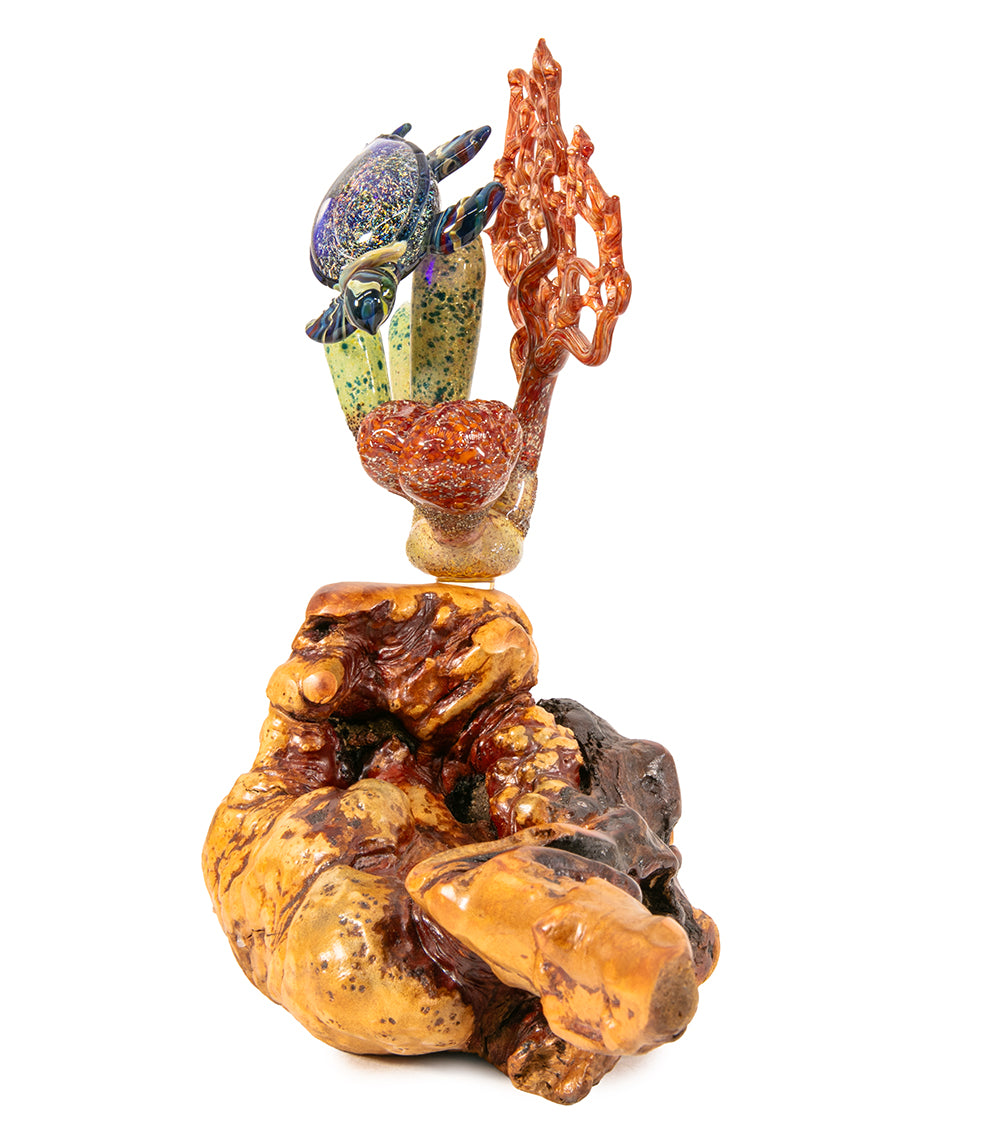 Escultura de vidrio "Dos tiburones martillo y coral" de Luke Olsen