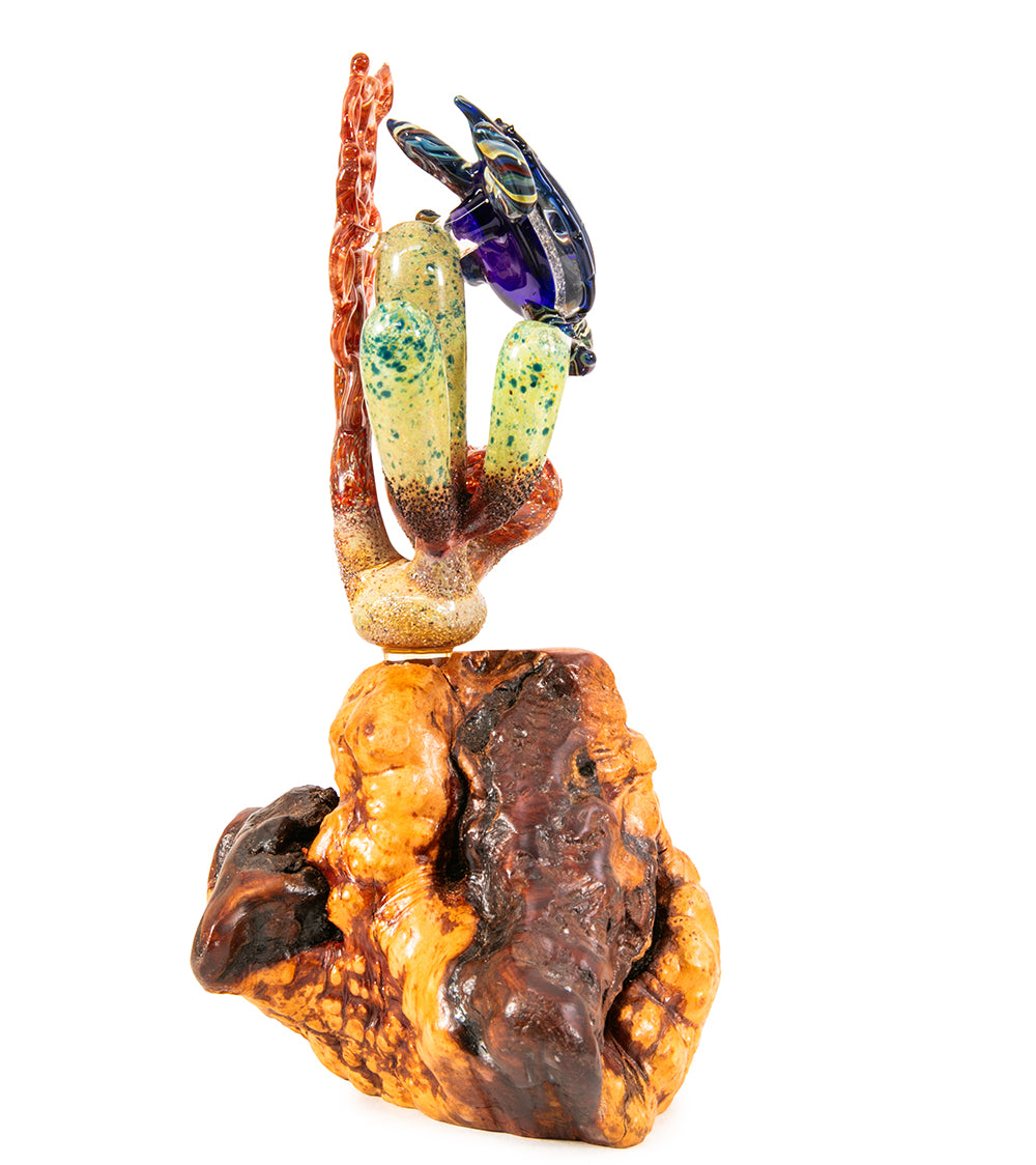 Escultura de vidrio "Dos tiburones martillo y coral" de Luke Olsen