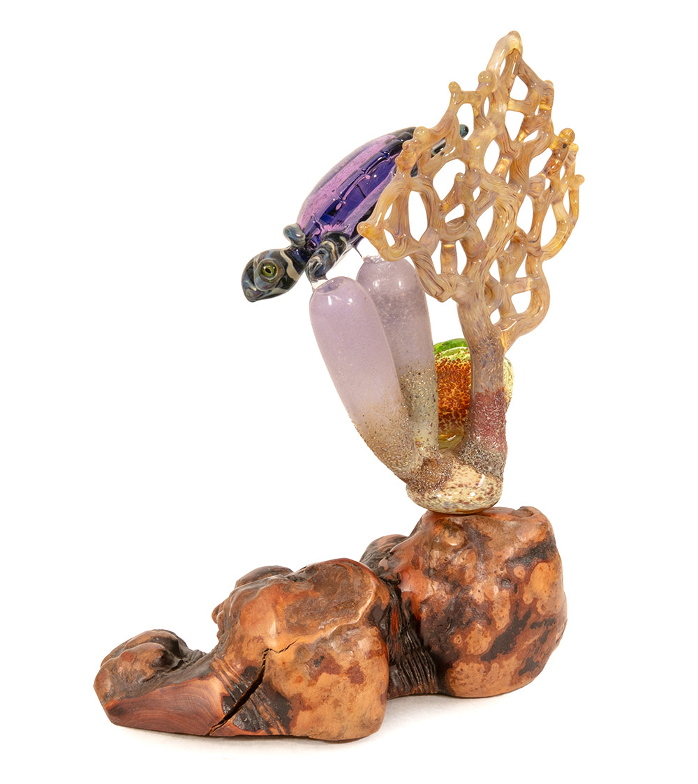 Glass "Galaxy Sea Turtle on Manzanita Burl Wood " by Luke Olsen