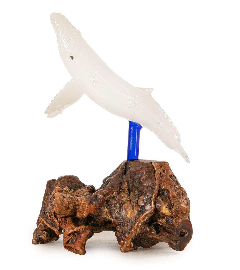 Escultura de vidrio "Dos tiburones martillo y coral" de Luke Olsen