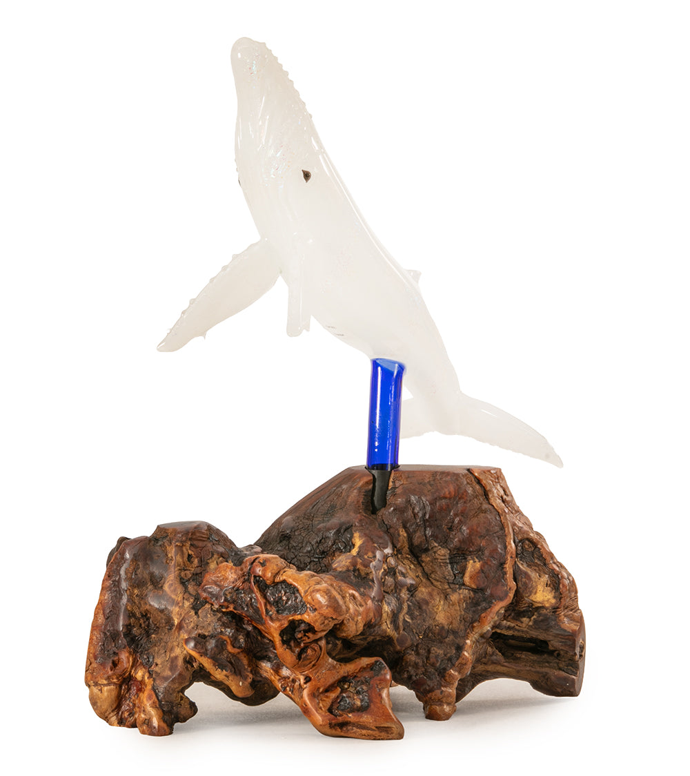 Escultura de vidrio "Dos tiburones martillo y coral" de Luke Olsen