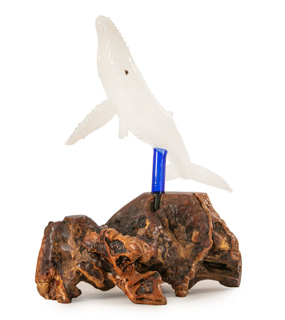 Escultura de vidrio "Dos tiburones martillo y coral" de Luke Olsen