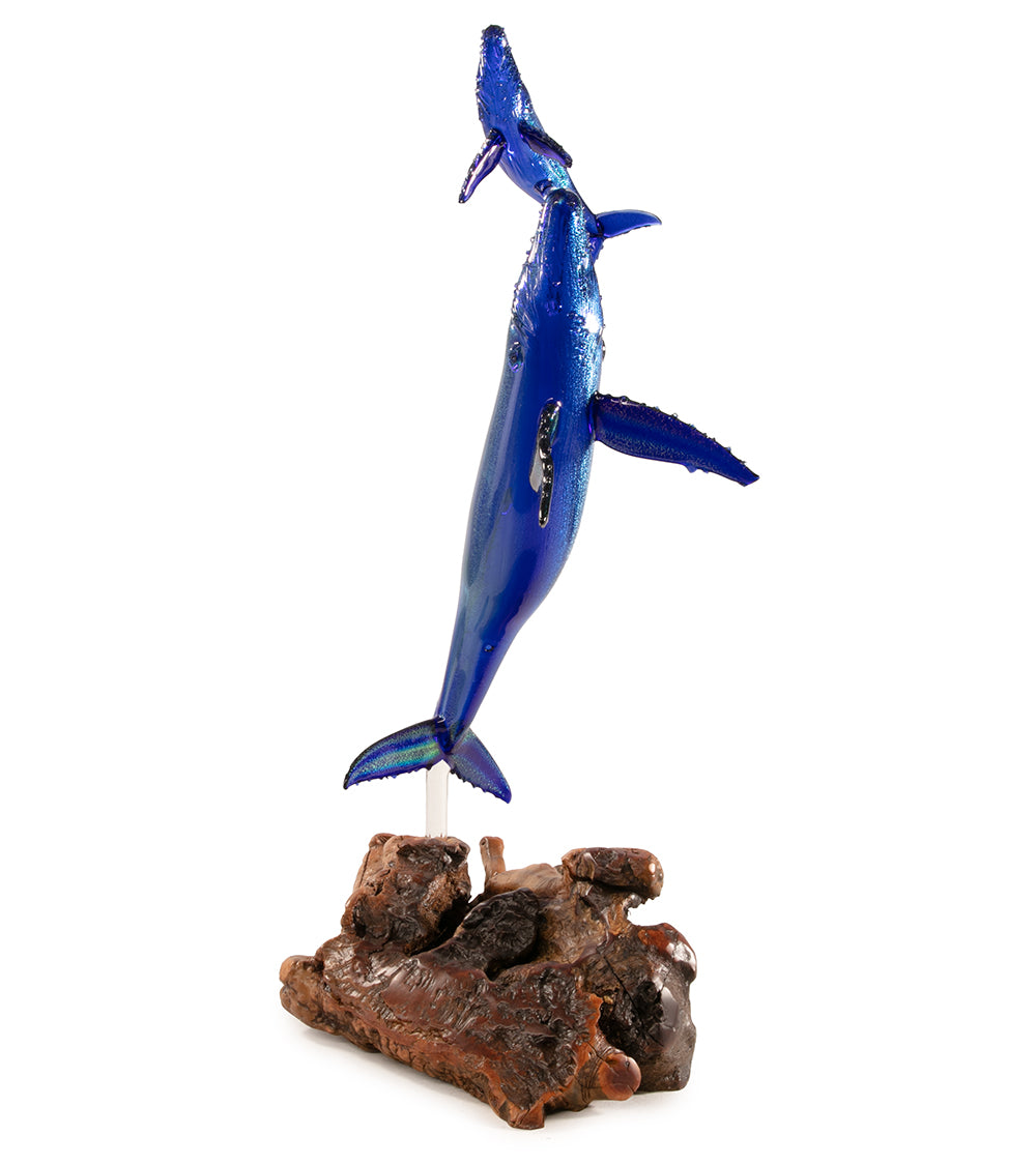 Glass "Glass Whale Mother & Calf on Manzanita Burl Wood " by Luke Olsen
