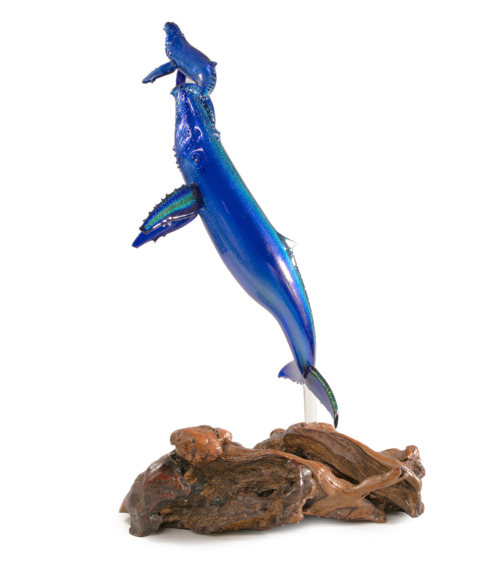Glass "Glass Whale Mother & Calf on Manzanita Burl Wood " by Luke Olsen