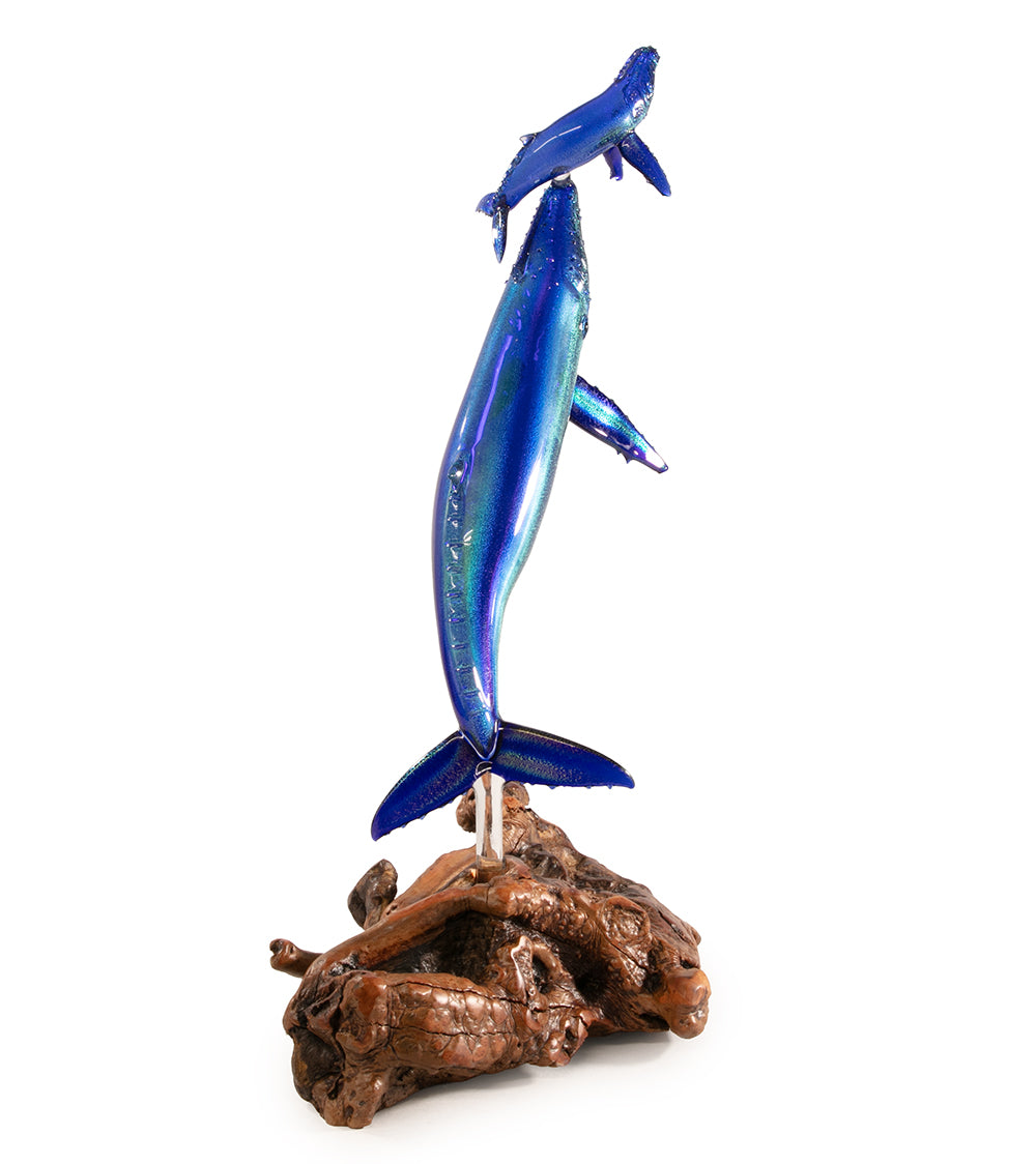 Glass "Glass Whale Mother & Calf on Manzanita Burl Wood " by Luke Olsen