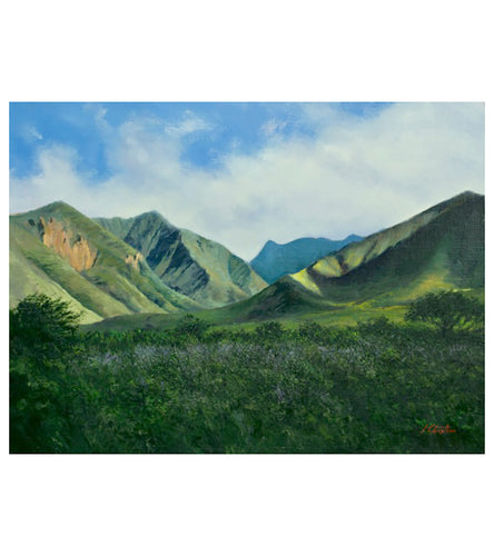 Olowalu by Christian Snedeker supporting Maui fire relief efforts