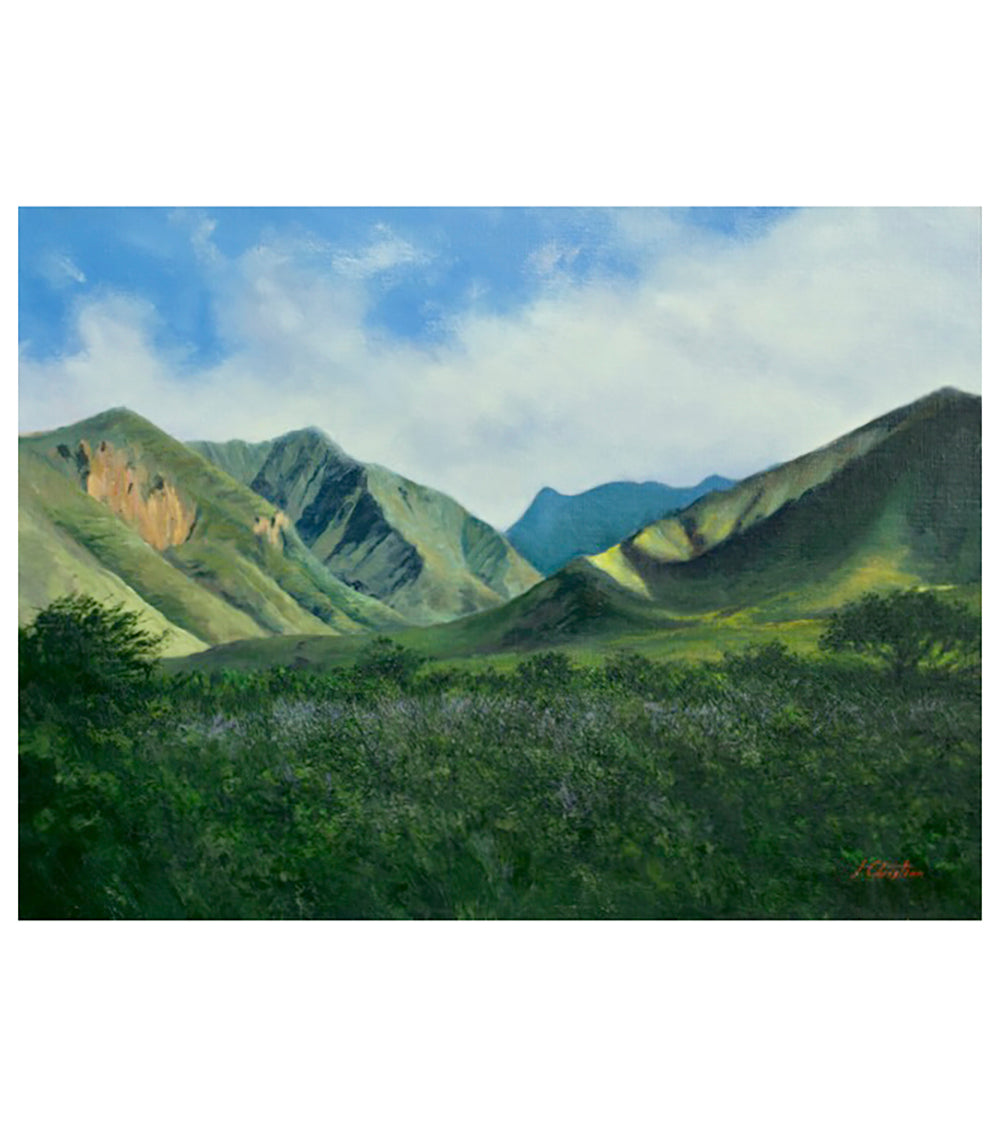 Olowalu by Christian Snedeker supporting Maui fire relief efforts