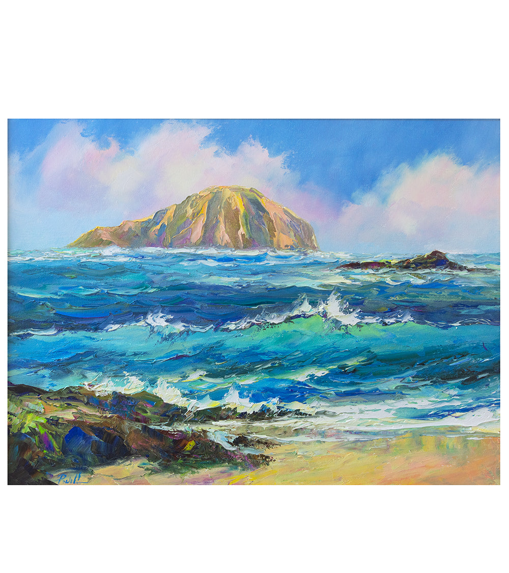 オリジナル絵画：マイケル・パウエル作「ラビット・アイランド 1/24」コアフレーム 18x24