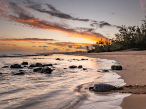 Paddling Out by Don Slocum