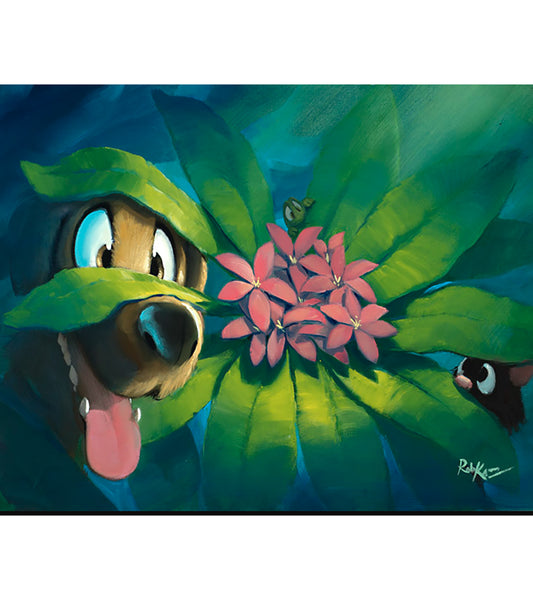 Hide and Seek by Rob Kaz