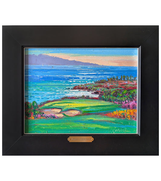 Colors of Kapalua Bay by Roman Czerwinski