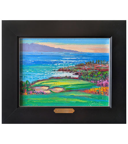 Colors of Kapalua Bay by Roman Czerwinski