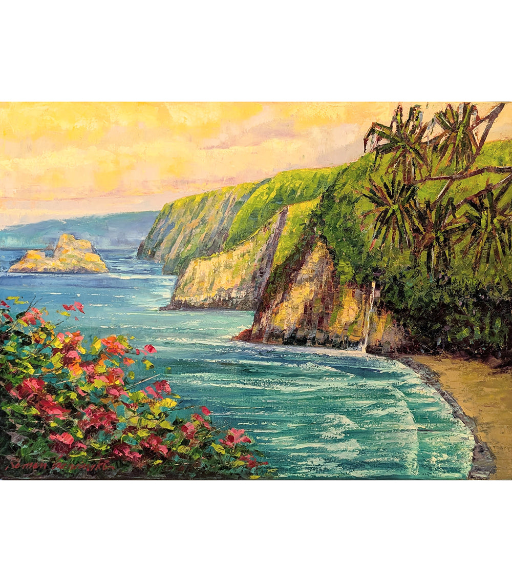 Pololu Valley Lookout by Roman Czerwinski