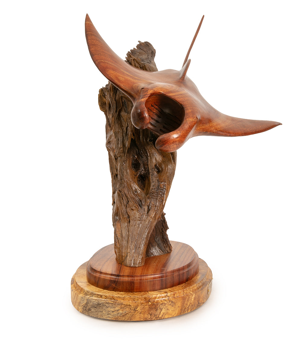 Koa Wood Sculpture "Pacific Manta Ray" by Craig Nichols