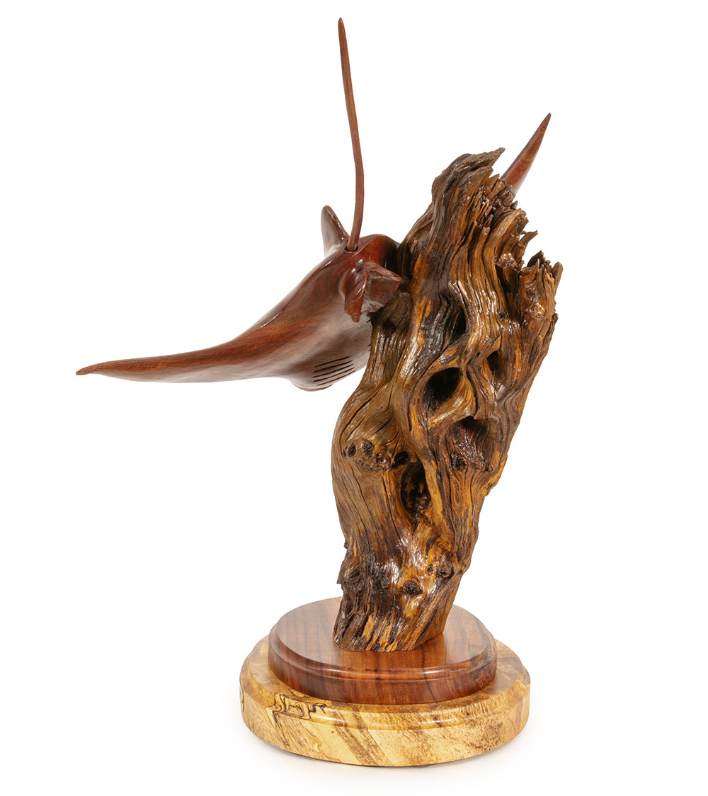 Koa Wood Sculpture "Pacific Manta Ray" by Craig Nichols