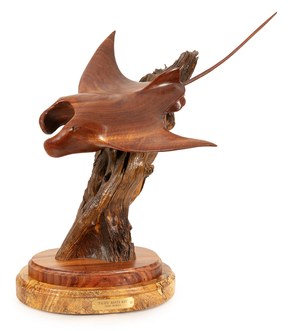 Koa Wood Sculpture "Pacific Manta Ray" by Craig Nichols
