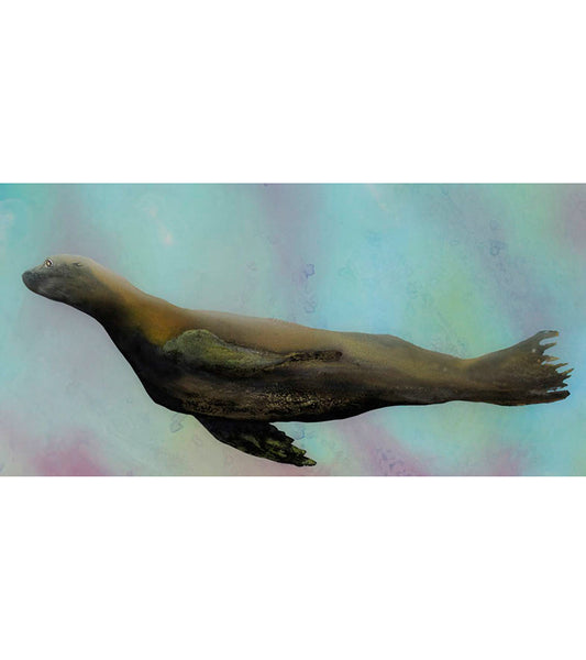 Limited Edition Acrylic Print "At Peace" by Josh Serafin