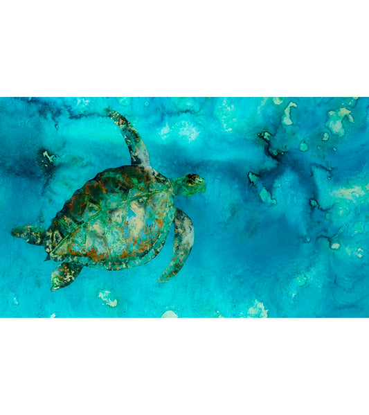 Limited Edition Acrylic Print "Maui" by Josh Serafin