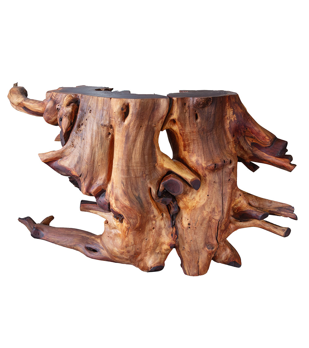 Root Ball Console Table