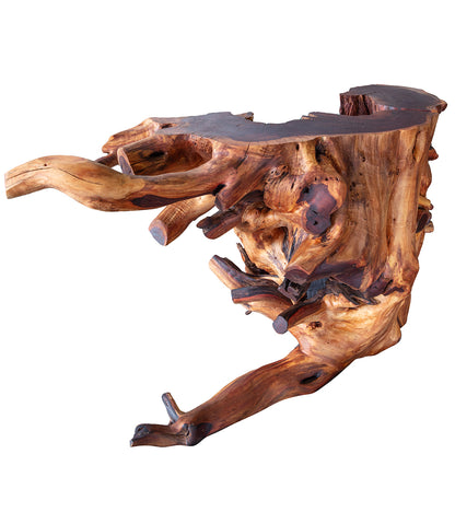 Root Ball Console Table