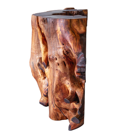 Root Ball Console Table