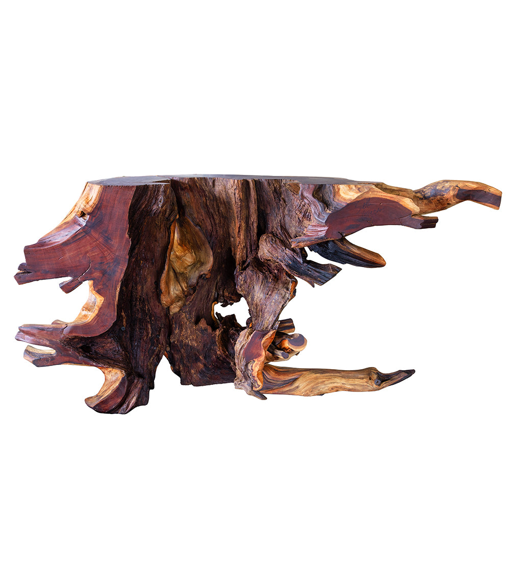 Root Ball Console Table