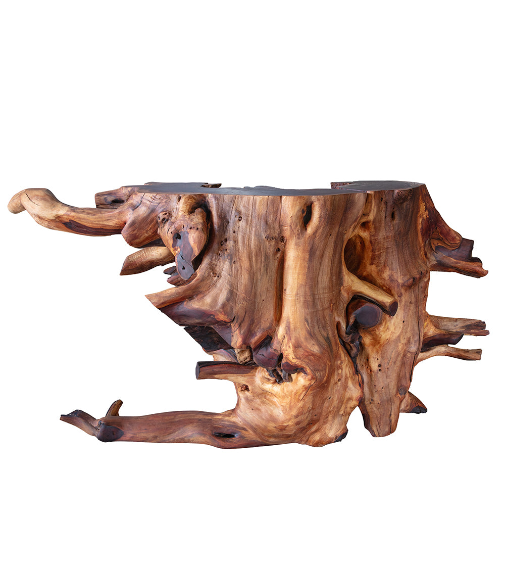 Root Ball Console Table – Martin & MacArthur