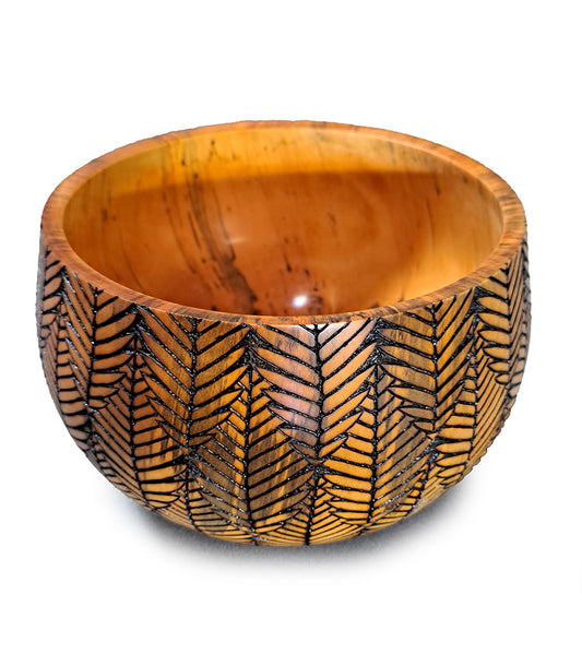 Pyrography Cook Pine Calabash "Overlapping Ferns" #833