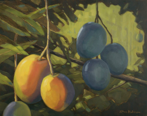 Mango Splendor by Stan Robinson