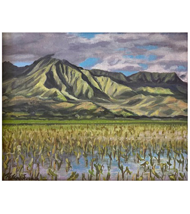 Hanalei Taro by Helen Turner