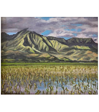 Hanalei Taro by Helen Turner