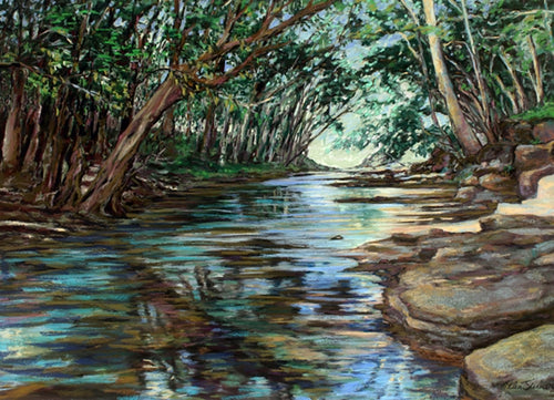 Kapaʻa Stream by Helen Turner