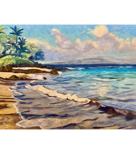 Wailea Looking South by Laurie Miller